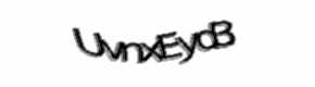 Security check image, please type the characters shown